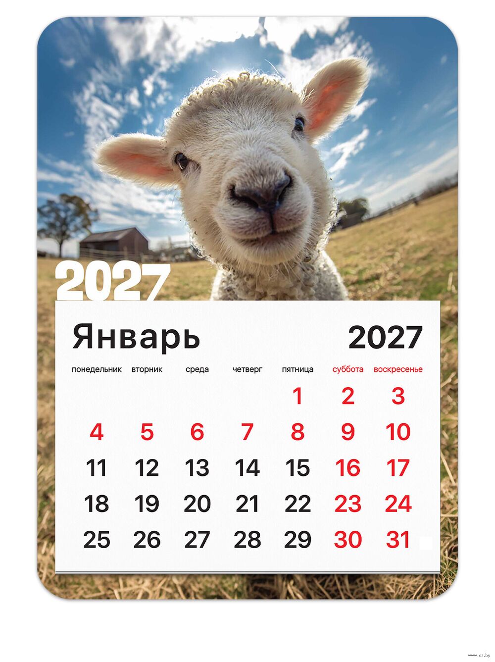 Календарь на магните на 2027 год "Символ года" (13х18 см)