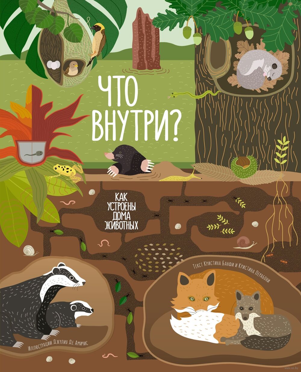 Что внутри? Как устроены дома животных Кристина Баньфи, К. Перабони -  купить книгу Что внутри? Как устроены дома животных в Минске — Издательство  Махаон на OZ.by