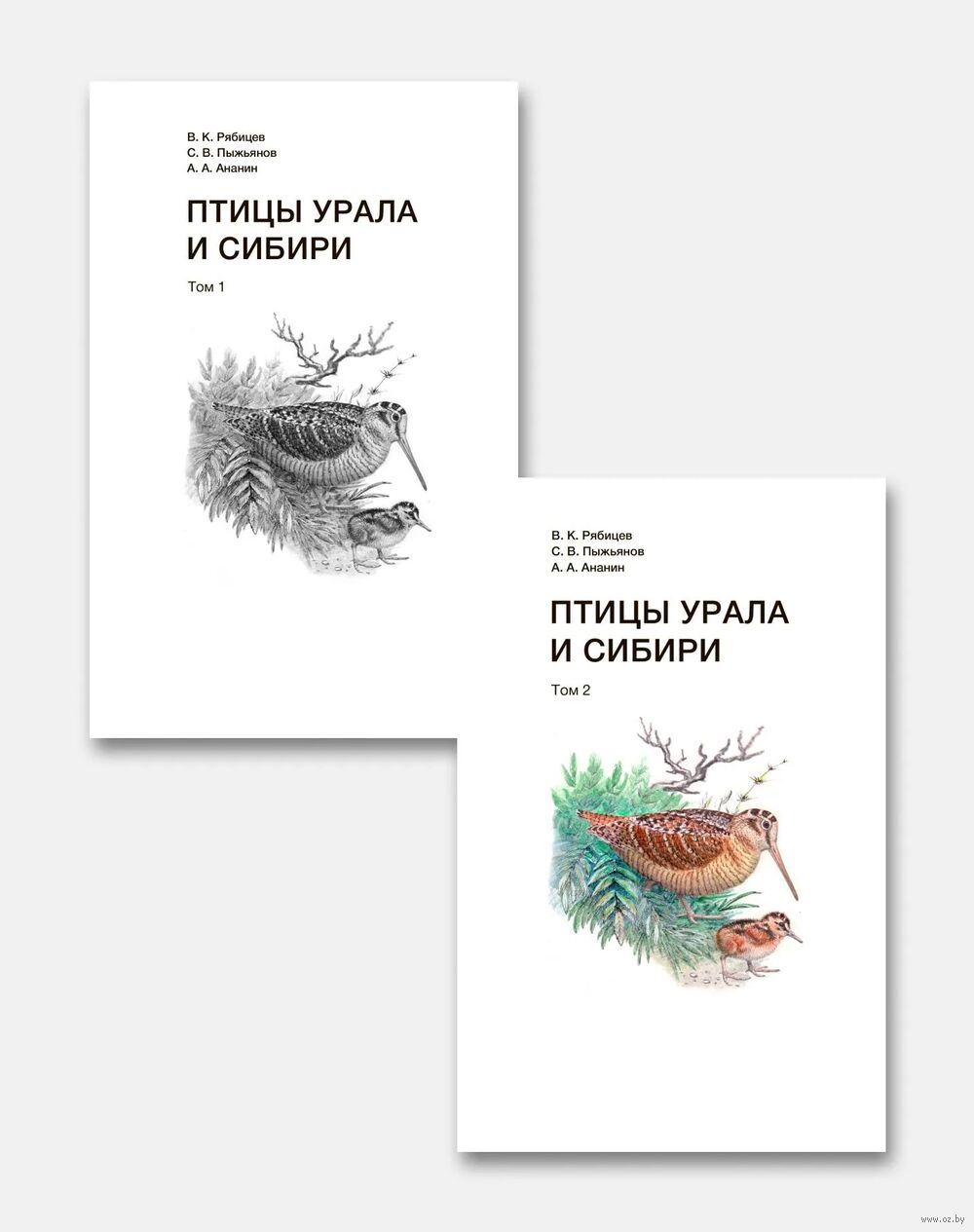 Птицы Урала и Сибири. Комплект в 2 томах