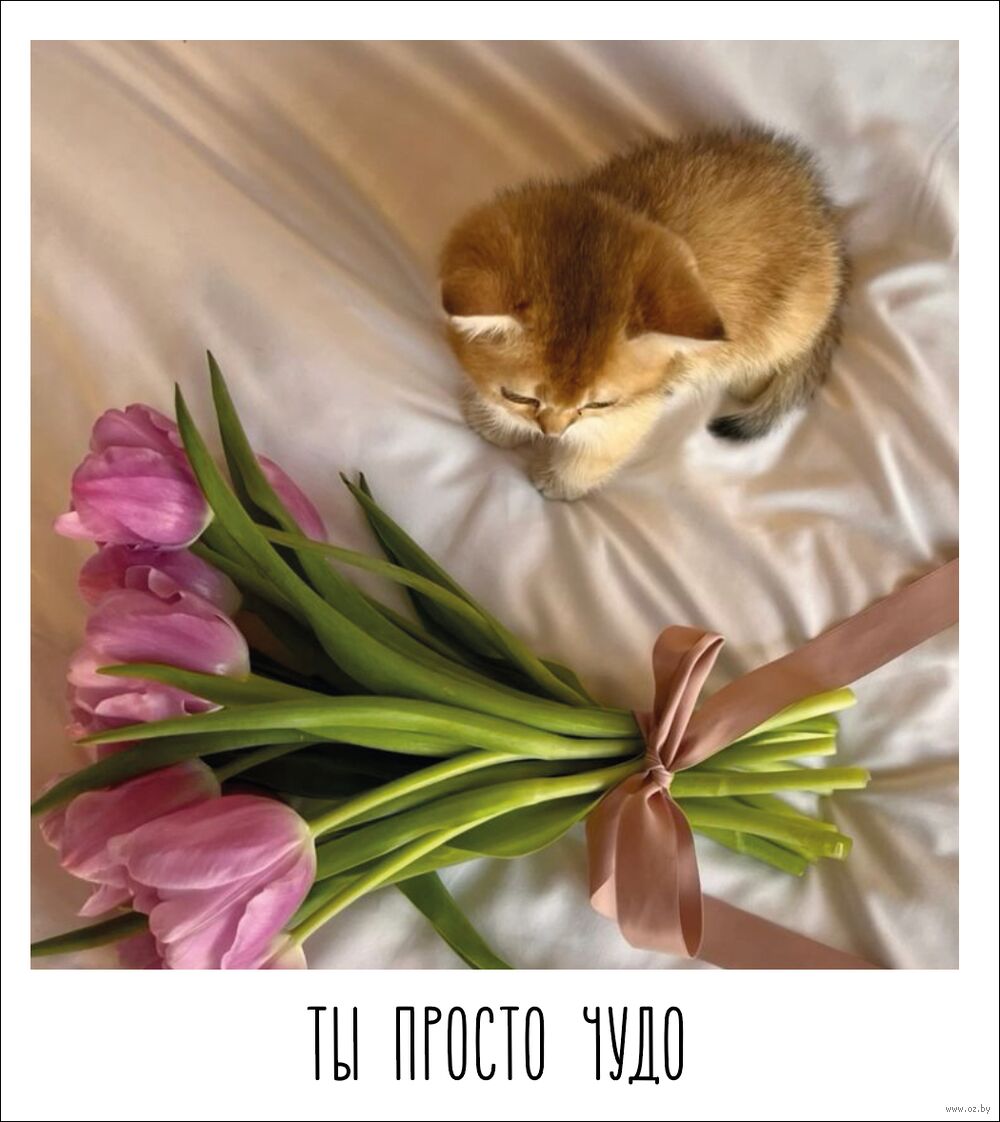 Открытка "Ты просто чудо"