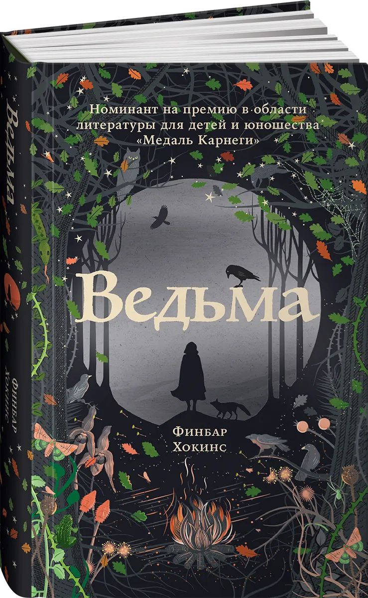 Хоу К. Книга ведьм Цена: р. - agat-avto-auto.ru