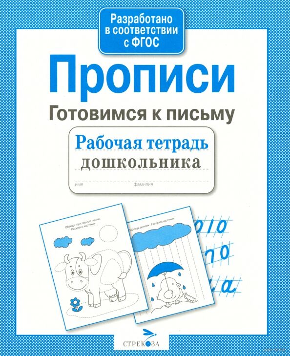 Рабочая тетрадь дошкольника. Прописи. Готовимся к письму