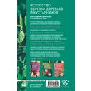 Искусство обрезки деревьев и кустарников для создания здорового и урожайного сада — фото, картинка — 14