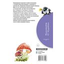 Русский лес — фото, картинка — 1