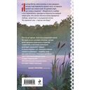 Искупление — фото, картинка — 16