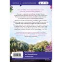 Оливковое дерево — фото, картинка — 13