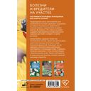Болезни и вредители на участке. Как привлечь огородных помощников для защиты огорода — фото, картинка — 14
