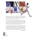 Анатомия человека. Визуальный гид по всем системам организма: норма и патологии — фото, картинка — 11