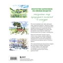 Пленэр акварелью шаг за шагом. Учимся рисовать с натуры под открытым небом — фото, картинка — 1