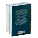 Виконт де Бражелон, или Еще десять лет спустя. Комплект из 2 книг — фото, картинка — 30