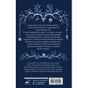 Ледяная ночь. 31 история для жутких вечеров — фото, картинка — 15