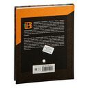 Рыжий лис — фото, картинка — 2