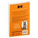 Чем и как кормить кошку, чтобы не навредить — фото, картинка — 16