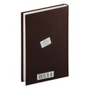 Пять недель на воздушном шаре — фото, картинка — 21