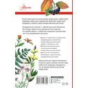 Лекарственные растения России — фото, картинка — 11