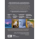 Урал – малахитовая шкатулка России. История, традиции, культурные и природные достопримечательности региона — фото, картинка — 14