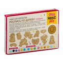 Набор для росписи по дереву 