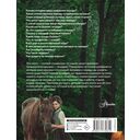 Лошадь. Полное руководство по верховой езде и уходу — фото, картинка — 1