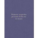 Магический гербарий. 36 карт с посланиями от волшебных растений — фото, картинка — 6