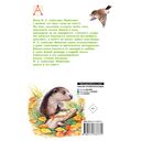 Листопадничек. Рассказы — фото, картинка — 14