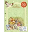 Загадочные происшествия в волшебном лесу — фото, картинка — 7