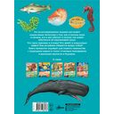 Подводный мир — фото, картинка — 32