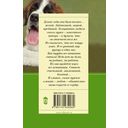 Хочу бабу на роликах! — фото, картинка — 17