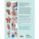 Анатомия массажа. Основы массажа нижней и верхней части тела с анатомическими иллюстрациями — фото, картинка — 15