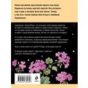 Девчонки, я приехал! — фото, картинка — 21