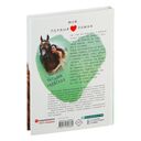 Два спутника планеты Ксюша — фото, картинка — 15