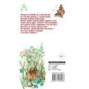 Бемби — фото, картинка — 25