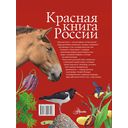 Красная книга России — фото, картинка — 15