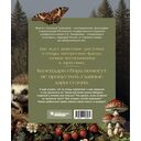 Тайная жизнь леса. Русская природа в фактах и зарисовках — фото, картинка — 16