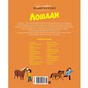 Лошади — фото, картинка — 7