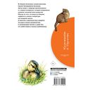 Рассказы о природе — фото, картинка — 1