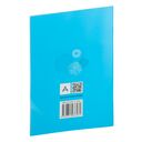 Русский язык. 4 класс. Контрольные и самостоятельные работы — фото, картинка — 7