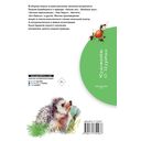 Зелёный шум. Рассказы — фото, картинка — 1