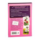 Оракул Ленорман. Подробное толкование карт, сочетания и расклады для начинающих — фото, картинка — 20