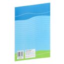 Говорим красиво. Пословицы и поговорки. Тетрадь для работы с детьми младшего школьного возраста — фото, картинка — 4