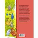 Муха-Цокотуха — фото, картинка — 4