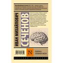 Рефлексы головного мозга — фото, картинка — 1