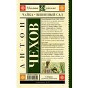 Чайка. Вишневый сад — фото, картинка — 38