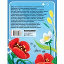 Обаятельные букашки — фото, картинка — 1