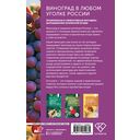 Виноград в любом уголке России — фото, картинка — 16