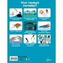 Подводный мир — фото, картинка — 1