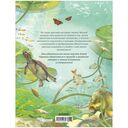 Секреты животных озера — фото, картинка — 7