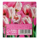 Набор закладок клейких 