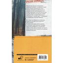 Холодное солнце — фото, картинка — 1