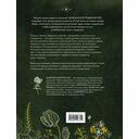 Шаманское травничество. Сила растений. Рецепты наших предков — фото, картинка — 13