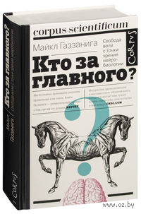 Кто за главного?